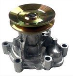 04300291 TCD2011 L04 Pompa tal-Ilma kompluta